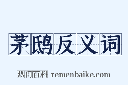 茅鸱反义词是什么意思的图片